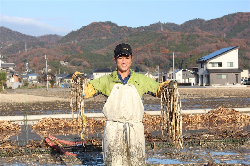 生産量日本一の慈姑！