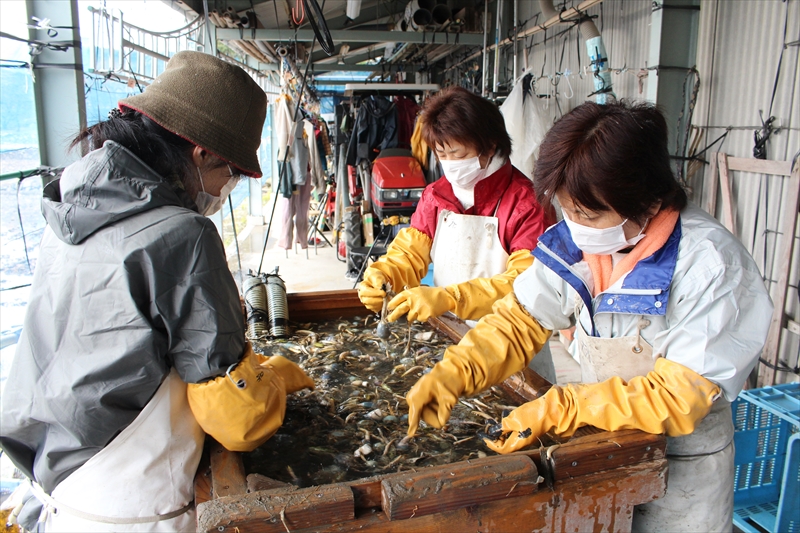 大洗いで泥を取り除く