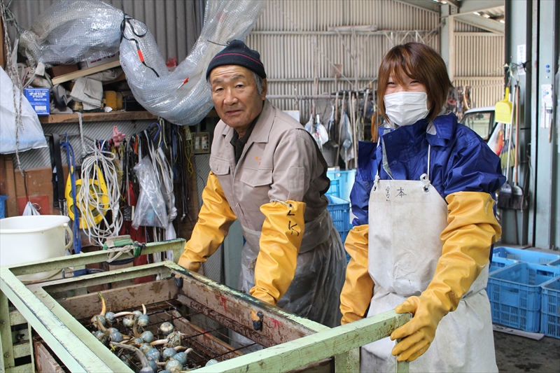 主な仕事内容