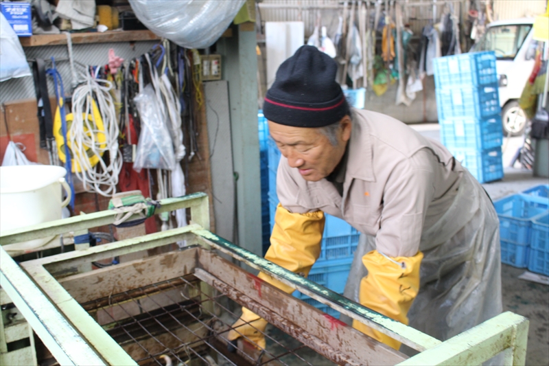 喜多村ファームは広島県福山市の慈姑(くわい)栽培農家 | アルバイト募集