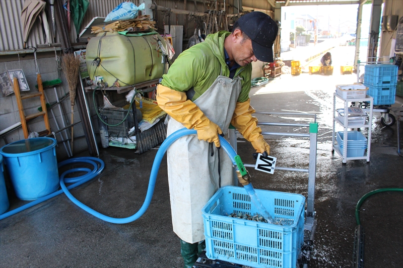 水洗いする